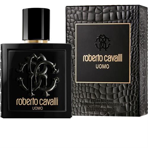 ROBERTO CAVALLI UOMO EDT 100 VAPO