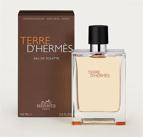 HERMES TERRE EDT 100 ML VAPO