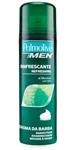 PALMOLIVE SCHIUMA BARBA 300 ML.MENTOLO