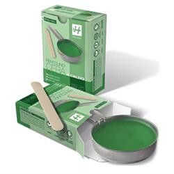 CERA HOLIDAY verde PENTOLINO 120ML C307