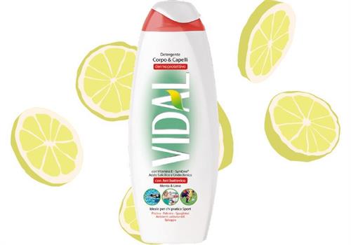 VIDAL BAGNOSCHIUMA antibatterico 500ML.menta e lime